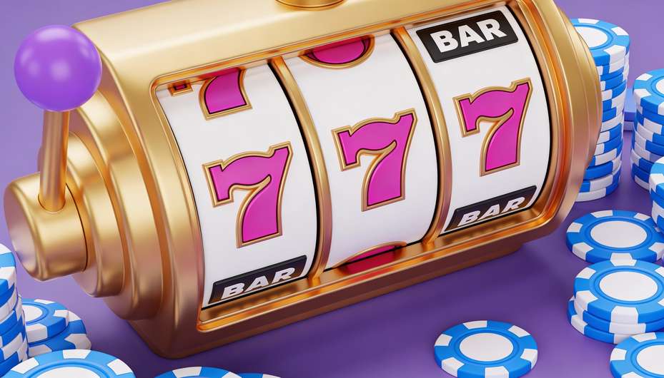 Admiral shark casino